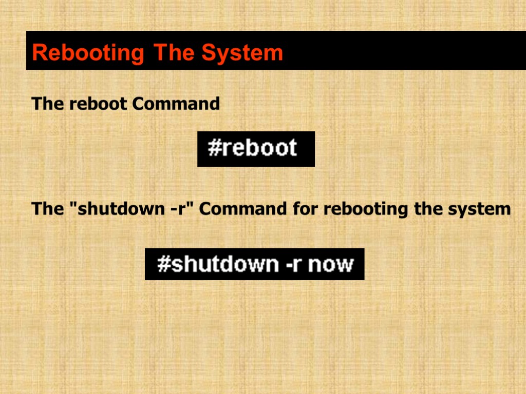 Rebooting The System The reboot Command The 
